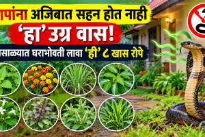 Which tree should be planted to keep snakes away