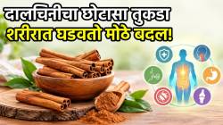 फक्त मसाला नाही, आरोग्यासाठीही गुणकारी! सर्दी, घशाच्या त्रासासह ६ समस्यांवर ठरू शकतो फायदेशीर; डॉक्टरांनी सांगितले फायदे