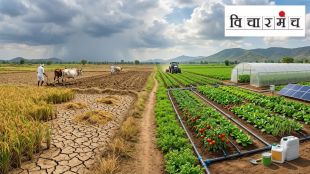 Maharashtra drought affected soybean crop field | Monsoon deficit Maharashtra agriculture policy | Climate change impact on Maharashtra farmers | Bhagwat Chavan article on agriculture policy reform