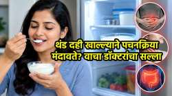 तुम्हीही फ्रिजमधून काढून लगेच दही खाताय? थांबा, डॉक्टरांनी दिला इशारा, शरीरावर होतात ‘हे’ गंभीर परिणाम