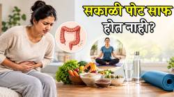 सकाळी पोट साफ होण्यासाठी औषधांचा आधार घ्यावा लागतो? मग आहारापासून योगापर्यंत ‘या’ सवयी अंगीकारा