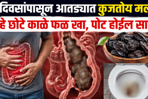 Prunes Benefits For Gut Health And Digestion
