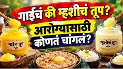 गाईचं की म्हशीचं? आरोग्यासाठी कोणतं तूप चांगलं? रोज पोळी-भातावर तूप टाकण्याआधी ‘ही’ १ गोष्ट नक्की तपासा!