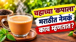 Tea and coffee cup used in everyday life with Marathi word for cup