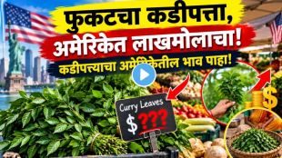 Curry leaves priced at 4 dollars in a US market