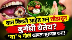 दातांची कीड आणि तोंडाचा घाण वास २ दिवसांत गायब! घरातल्या ‘या’ ५ गोष्टी खायला सुरुवात करा; तुमचे दात चमकतील मोत्यांसारखे!