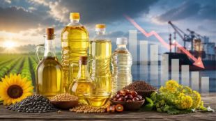 Edible Oil Import Duty Cut India | Edible Oil Prices Drop Diwali Festival | Sunflower Oil Soybean Oil Price Reduction | Central Government Edible Oil Decision