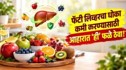 फॅटी लिव्हर टाळण्यासाठी आहाराकडे द्या लक्ष! मोठं आजारपण टाळण्याचा साधासोपा उपाय; ‘ही’ ५ फळे ठेवा डाएटमध्ये