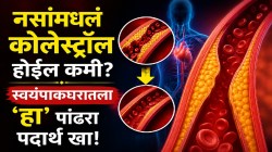 शिरांमध्ये साचलेलं घाण कोलेस्ट्रॉल झटक्यात बाहेर पडणार; स्वयंपाकघरातला ‘हा’ एक पांढरा पदार्थ खा, ब्लॉक झालेल्या नसा मोकळ्या होणार!