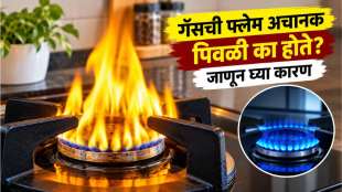 Gas Stove Cleaning Tips