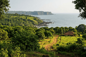 Sindhudurg Land Purchase Probe | Konkan Divisional Commissioner Rubal Agarwal | Mopa Airport Land Demand Dodamarg | Maharashtra Tenant Act Violations Investigation