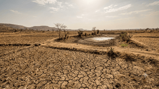 Maharashtra drought conditions | MGNREGA water conservation works | Maharashtra rain deficit and water scarcity | Soil and water conservation projects Maharashtra