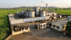 सहकारी साखर कारखान्यांसाठी ‘सॉफ्ट लोन योजना, मंत्रिमंडळासमोर प्रस्ताव सादर करणार