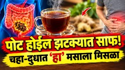 वर्षानुवर्षे पोटातील आतड्यात कुजणारा मल मिनिटांत पडेल बाहेर! चहा किंवा दुधात ‘हा’ १ मसाला मिसळून प्या; सकाळी लगेच पोट होईल साफ