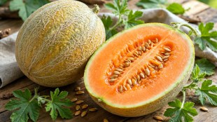 Health Benefits Of Muskmelon