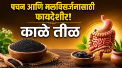बद्धकोष्ठता आणि कडक शौचाची समस्या होईल दूर! काळ्या तिळाचे अशाप्रकारे करा सेवन, शरीराला मिळेल भरपूर फायबर