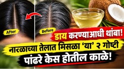 वय २०-२५ अन् केस पांढरे होतायत का? नारळाच्या तेलात फक्त ‘या’ २ गोष्टी मिसळा; डाय करण्याची गरजच पडणार नाही! नैसर्गिकरीत्या होतील काळे