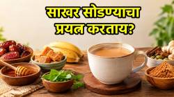 साखर सोडायची आहे, पण चहा बेचव नको? मग ‘हे’ पर्याय वापरून पाहा, चहाला येईल नैसर्गिक गोडवा