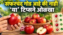 सफरचंदाचा लाल रंग पाहून लगेच खरेदी करू नका! फळ गोड आहे की नाही, ‘या’ टिप्सने न कापताच ओळखा