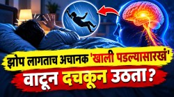 झोपेत अचानक खाली पडल्यासारखं का वाटतं? तुम्हीही दचकून उठता? मेंदू आणि शरीराचा ‘हा’ खेळ वाचून व्हाल थक्क!