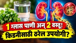 किडनीतील घाण लघवीवाटे झटक्यात बाहेर पडेल! फक्त १ ग्लास पाण्यात कोथिंबीर अन् ‘या’ मसाल्याचे २ तुकडे उकळून प्या; पाहा काय होतं!