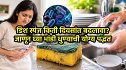 तुम्हीही भांडी धुण्यासाठी स्पंज वापरता? मग सावधान! आरोग्य तज्ज्ञांनी दिला मोठा इशारा