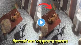 Brave pet dog fights back against a leopard inside a home in Rudraprayag Uttarakhand
