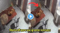 VIDEO: ‘शिकार करो या शिकार बनो!’ अंधारात झोपलेल्या श्वानावर बिबट्याची झडप; पण पुढच्याच क्षणी पलटला डाव, कुत्र्याने केला बिबट्याचाच ‘मोठा गेम’!