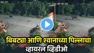 Leopard Catches Puppy In Palghar