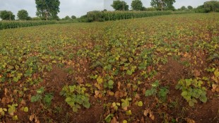 Maharashtra Drought
