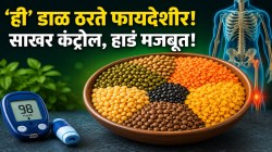 रक्तातील साखर होईल क्षणात कंट्रोल अन् वय वाढलं तरी हाडं राहतील मजबूत! आठवड्यातून फक्त २ वेळा खा ‘ही’ डाळ!