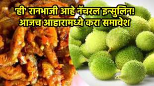 Monsoon Kantola Vegetable Health Benefits _