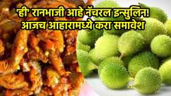 रक्तातील शुगर वाढणार नाही अचानक; पावसाळ्यात आवर्जून खा ‘ही’ रानभाजी, वाचा, जबरदस्त फायदे