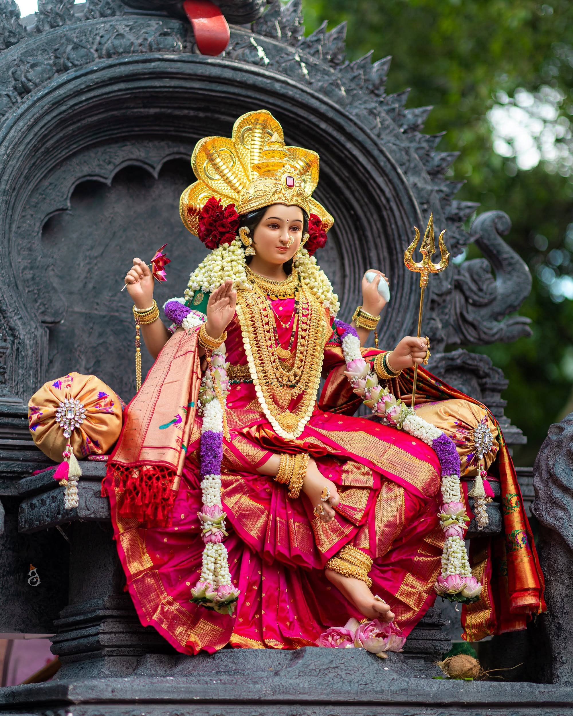 Navratri 2026 Nine Days Colours