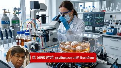 आता लॅबमध्ये तयार होतोय ‘मिनी मेंदू’; जाणून घ्या ‘मोड्युलर ब्रेन’ची रंजक कथा