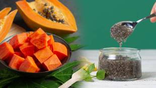 Papaya and chia seeds benefits