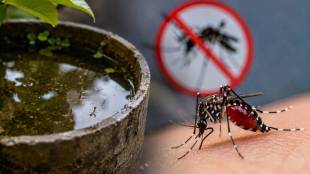 Nashik Dengue Outbreak Cases | Nashik Municipal Corporation Dengue Survey | Dengue Mosquito Breeding Waterlogging Nashik | NMC Health Department Fogging Campaign