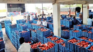 Atpadi Bazar Samiti Pomegranate Rate | Sangli Pomegranate Market Auction | Highest Rate Bhagwa Pomegranate Sangli | Atpadi Agricultural Produce Market Committee News