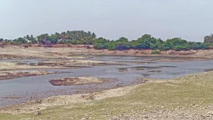 sangli drought crisis | chandoli dam water level | jat taluka water scarcity | maharashtra monsoon updates
