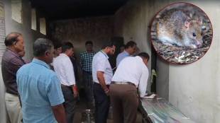 bhandara-school-mid-day-meal-rat