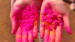 Buldhana Ban On Chemical Gulal Ganeshotsav | Buldhana Collector Pravinkumar Devore Order Gulal Ban | Chemical Gulal Health Hazards Ganeshotsav Festival | Buldhana Administration Action On Illegal Gulal Sale