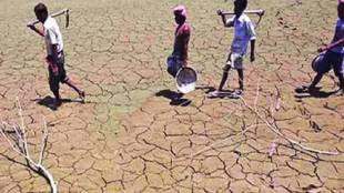 Parbhani Drought Situation Report Collector Sanjaysinh Chavan Directives | Parbhani District Monsoon Deficit Crop Damage Assessment | Parbhani Jayakwadi Yeldari Dam Water Release Planning | Parbhani Kharif Crop Crisis Administration Action