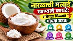 मऊ-मऊ नारळाची मलाई फक्त चविष्ट नाही; आरोग्यासाठीही फायदेशीर