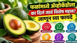 Immense benefits of eating avocado