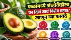 अ‍ॅव्होकॅडो आहे पोषक तत्त्वांचा खजिना; जाणून घ्या शरीराला होणारे फायदे