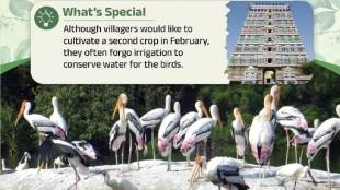 Chitrangudi Bird Sanctuary Ramsar Site