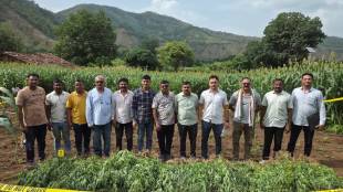 Nandurbar Ganja Seizure