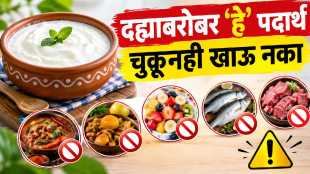Curd is highly beneficial for health