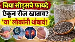 चिया सीड्स आरोग्यासाठी गुणकारी, पण ‘या’ लोकांनी चुकूनही खाऊ नये!