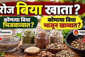 Seeds Benefits